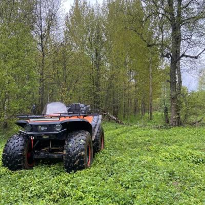 Прокат бигфутов в Москве